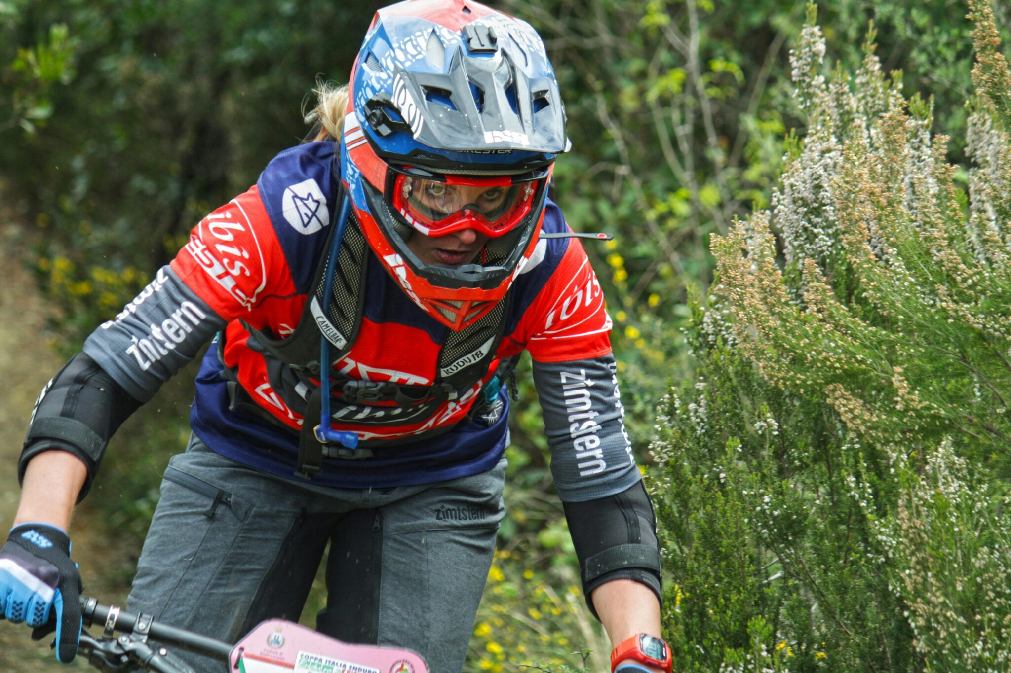Focused female cyclist mountain biking on a lush outdoor trail wearing protective gear.