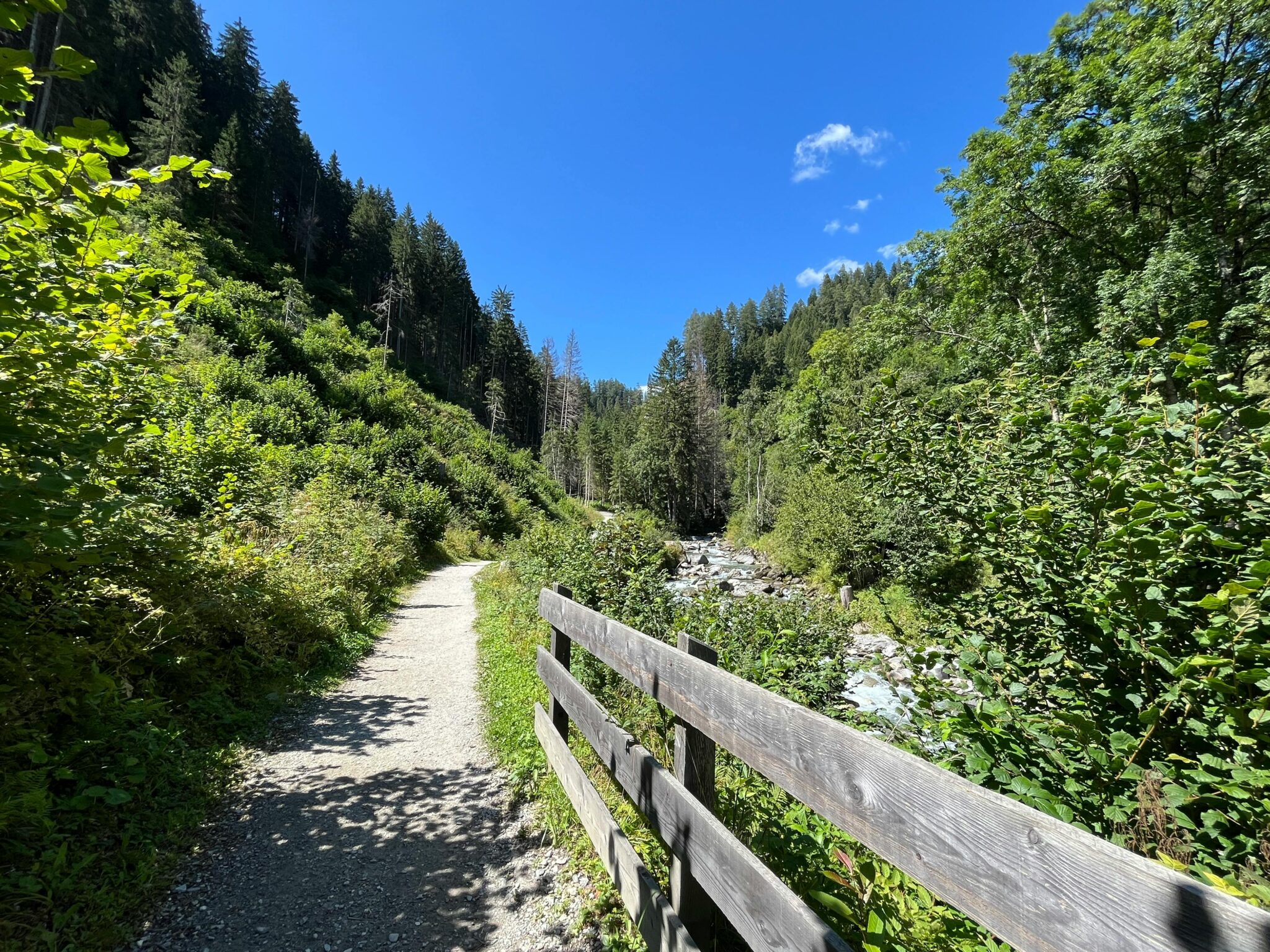 Sunny mountain trail with lush greenery in Trentino-Alto Adige, Italy.